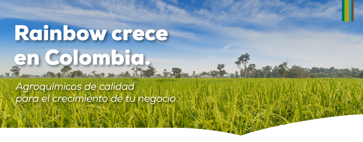 Home Colombia | Rainbow Crece