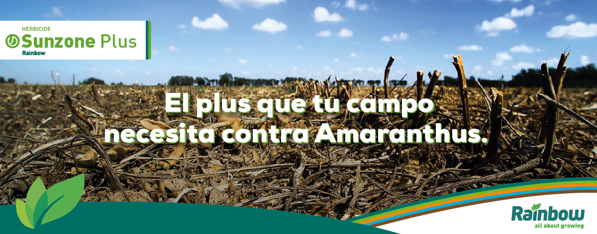 BannerSunzone_V002
