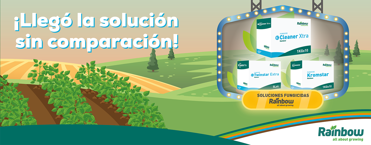 Soluciones Fungicidas | BO