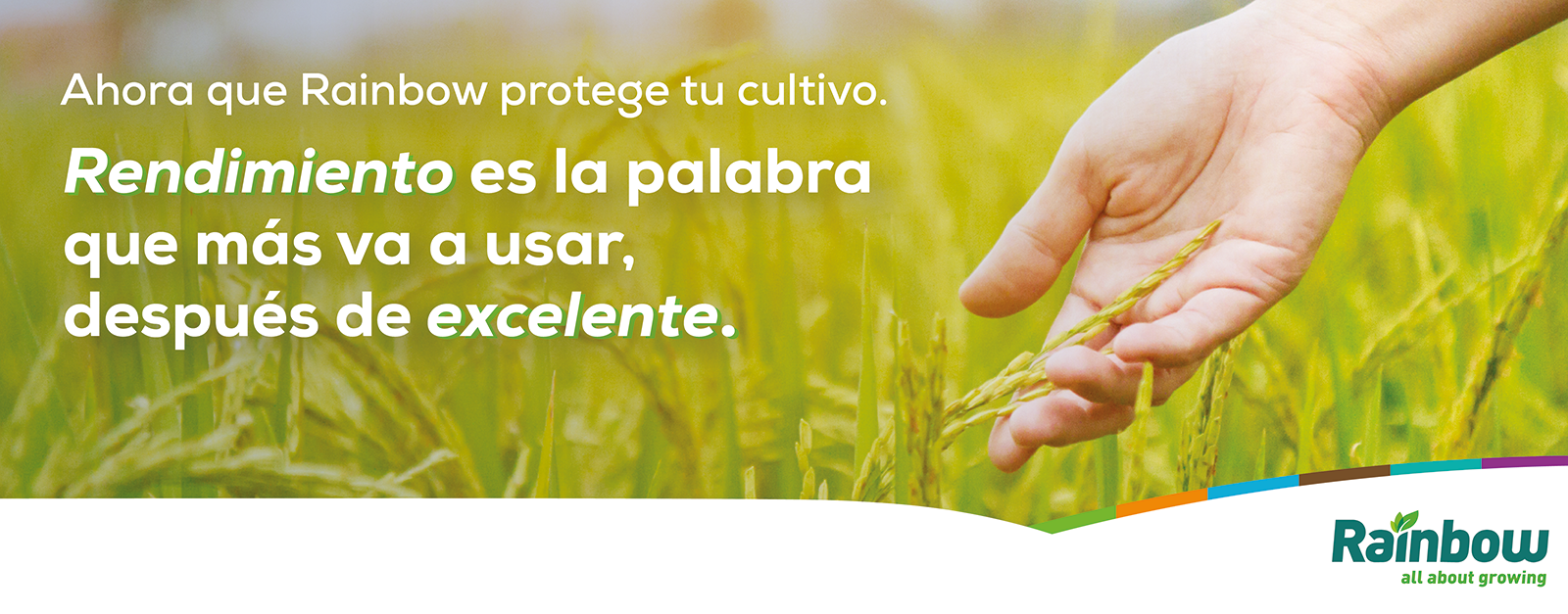 Home Colombia | Institucional
