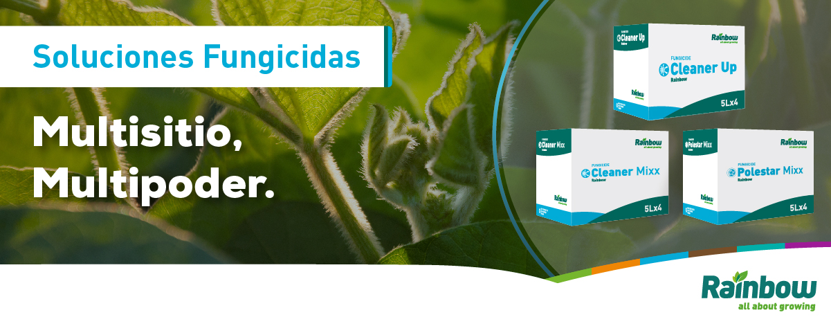 Banner Soluciones Fungicidas