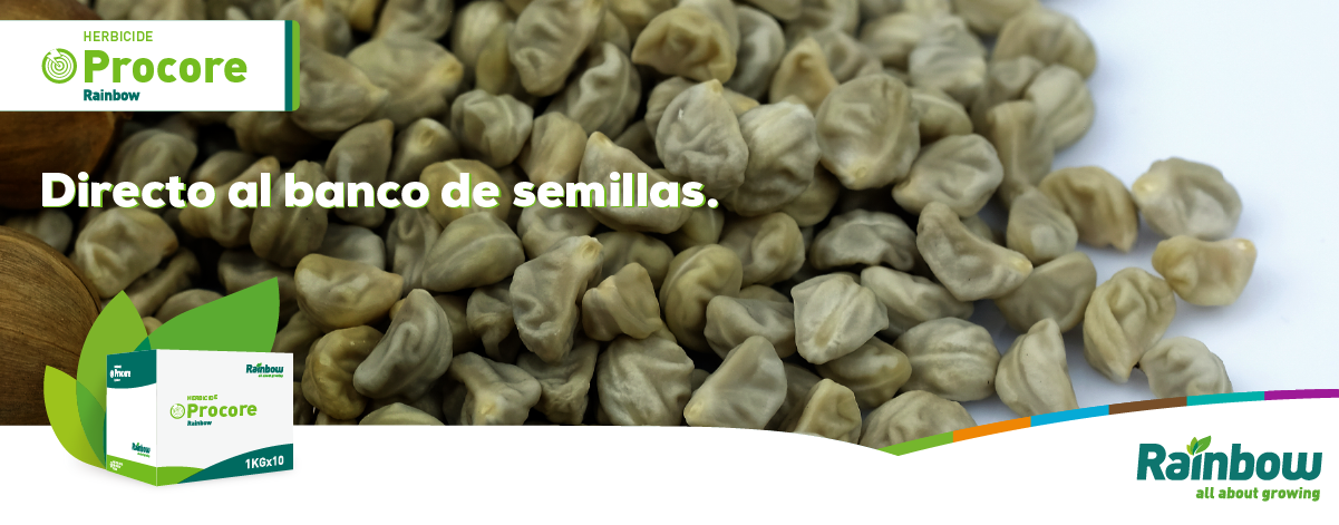 Banner Procore
