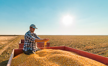 La importancia del Ingeniero Agrnomo como Tcnico.