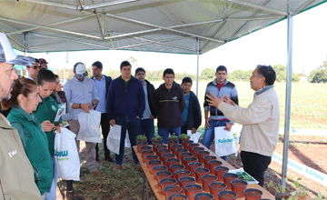 Informe-Manejo de kapi'un resistente a glifosato. Da de Campo.