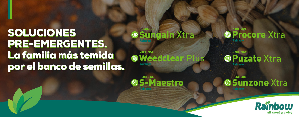 Paraguay | Soluciones Preemergentes