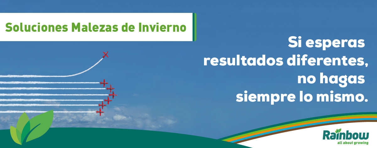 BannerCampaaInviernoy1