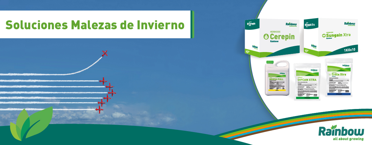 BannerCampaaInviernoy2